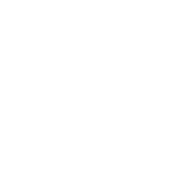 SAM Learning
